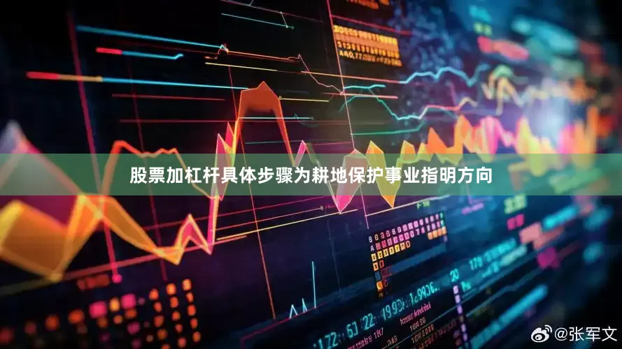 股票加杠杆具体步骤为耕地保护事业指明方向